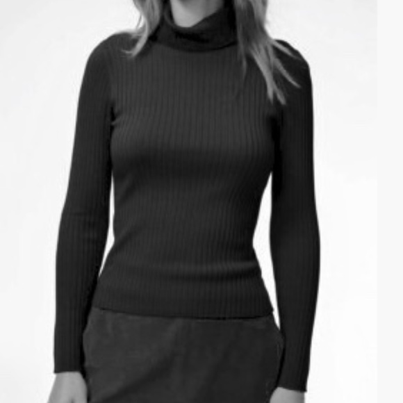 Babaton Zander Ribbed Turtleneck - Picture 1 of 10